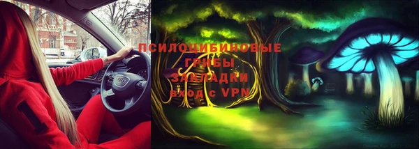 эйфоретик Алексин